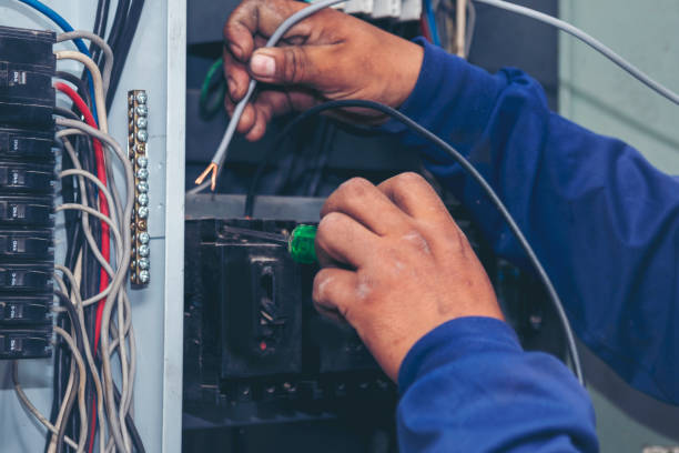 Best Electrical Installation Contractor  in Dassel, MN