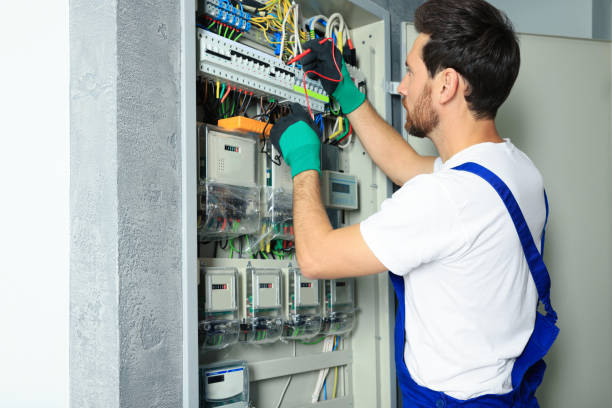 Best Ceiling Fan Installation Electrician  in Dassel, MN